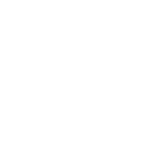 Icon instagram