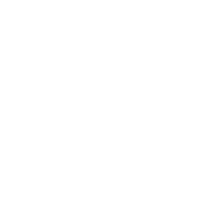 Icon line