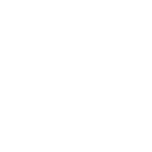 Icon whatsapp